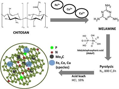 Non-precious Melamine/Chitosan Composites for the Oxygen Reduction Reaction: Effect of the Transition Metal